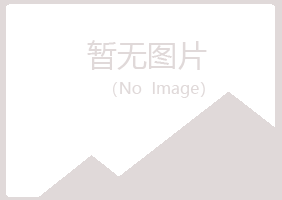 合川夏岚司机有限公司